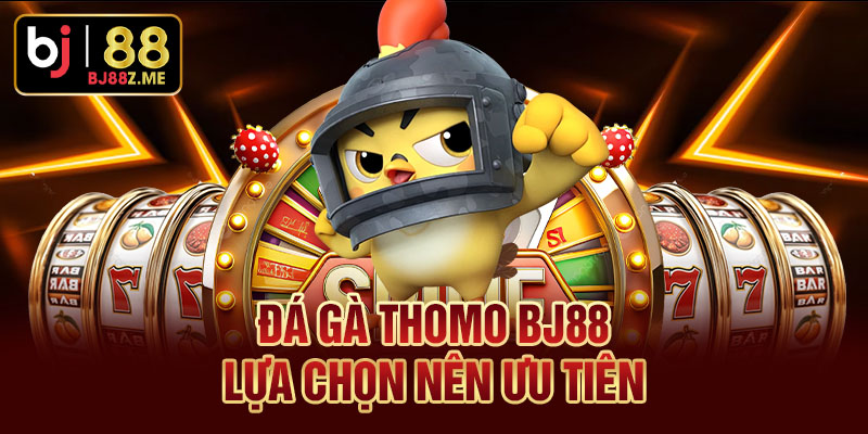 Đá gà Thomo BJ88 – lựa chọn nên ưu tiên