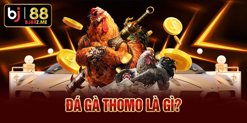Đá gà Thomo là gì?