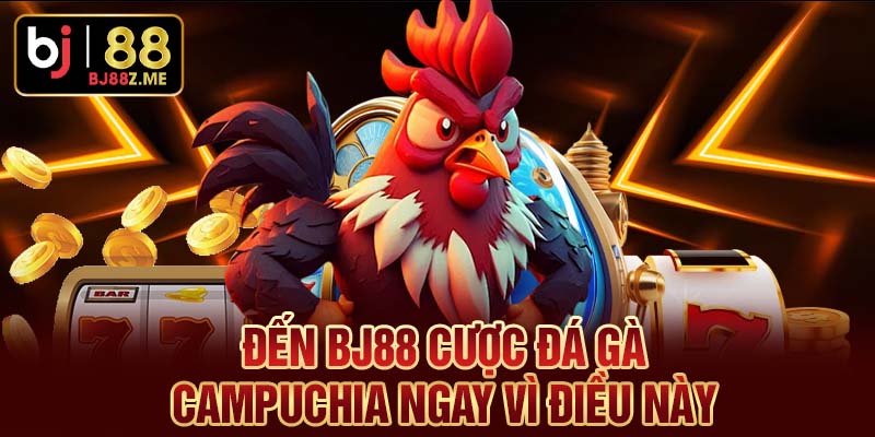 Đến BJ88 cược đá gà Campuchia ngay vì điều này