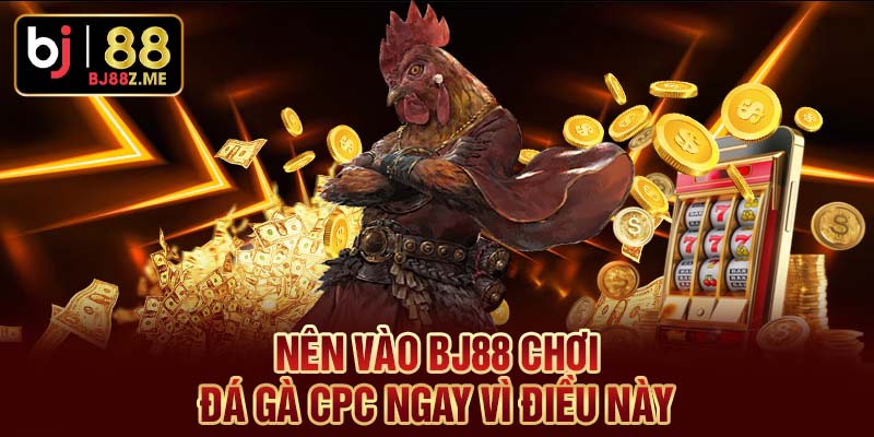 Nên vào BJ88 chơi đá gà CPC ngay vì điều này