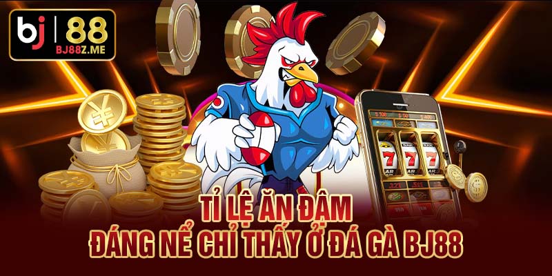 Tỉ lệ ăn đậm đáng nể chỉ thấy ở đá gà BJ88