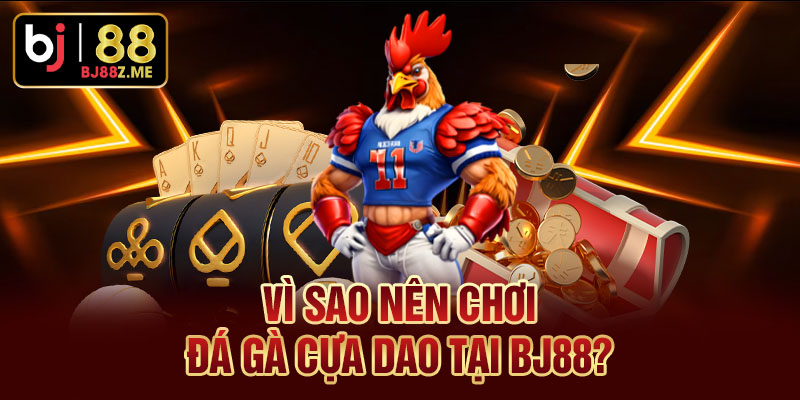 Vì sao nên chơi đá gà cựa dao tại BJ88