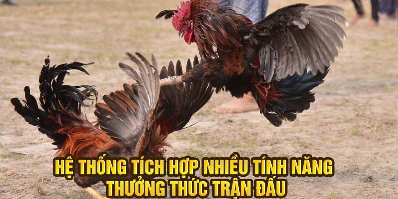 Hệ thống tích hợp nhiều tính năng thưởng thức trận đấu