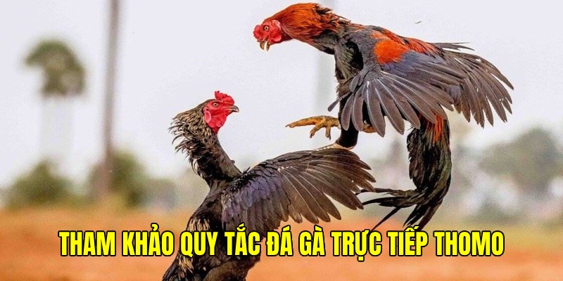 Tìm hiểu những nguyên tắc ảnh hưởng đến lối đặt cược