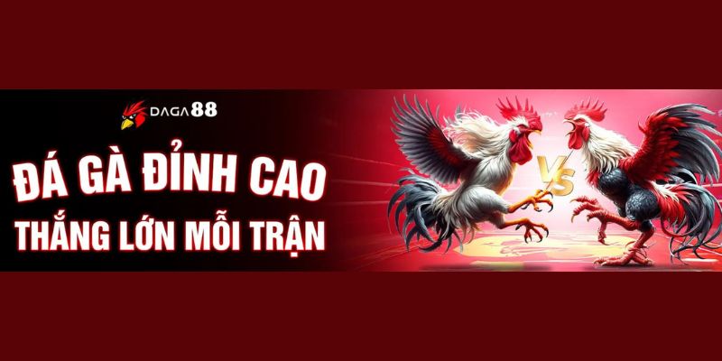 đá gà 88