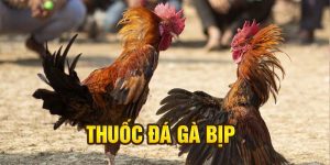 thuốc đá gà bịp